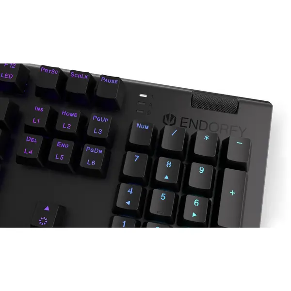 Tastatura gaming ENDORFY Omnis Red RGB Kailh Red Switch Mecanica