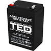 Acumulator UPS TED Electric 12V Stationar VRLA, 2.7Ah