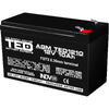 Acumulator UPS TED Electric 12V Stationar VRLA, 10Ah F2