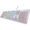 Tastatura gaming Cougar VANTAR S, RGB LED, USB, White