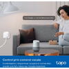 Priza cu Protectie TP-LINK Tapo P100M Mini Mini priză Wi-Fi smart, compatibilă cu Matter