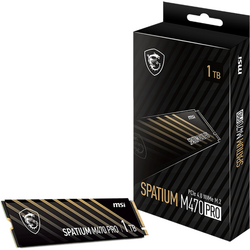 Spatium M470 Pro 2 TB, PCI Express 4.0 x4, M.2 2280